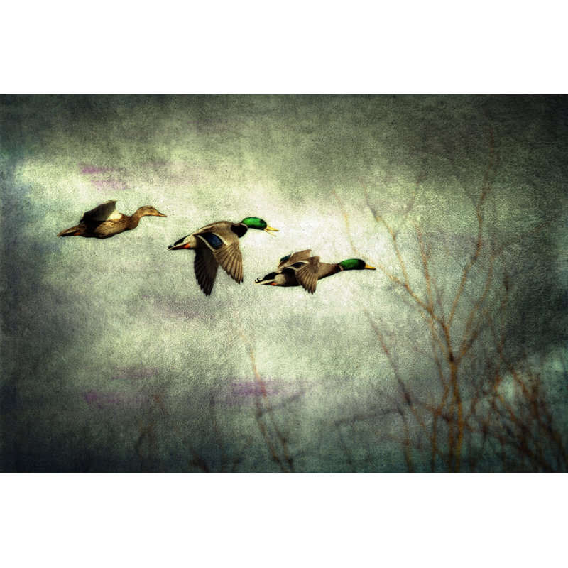 Ashman Flight Of Mallard Ducks - Wrapped Canvas Painting, 61cm H x 91cm W x 3.8cm D