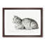 Peaceful Cat by Jean Bernard - Picture Frame Drawing Print-55577984-55577989