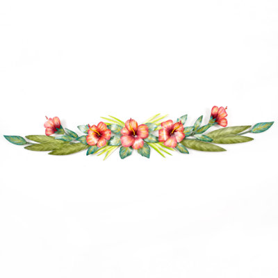 Hibiscus