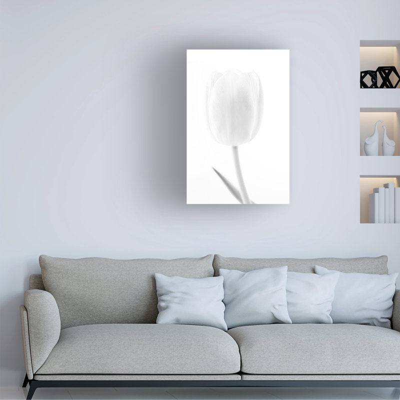 Art sur toile «Bolini Martin Kucera» AFIAP, H 47 po x l 30 po