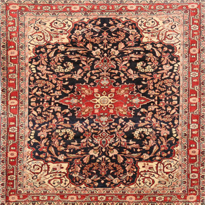 Oriental Indoor Rug