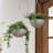 Bee Honeycomb Plastic Hanging Planter-62253644-93631317