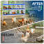 Boîte de nidification robuste pour poulets avec ventilation, 10 compartiments, boîte de pondération ergonomique pour poules, canards et petites volailles