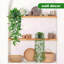 8.9cm Garland Hanger