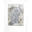 Silver Possum 2 Print
