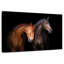 Duo de chevaux Brampt-106052226