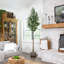 108 po plante