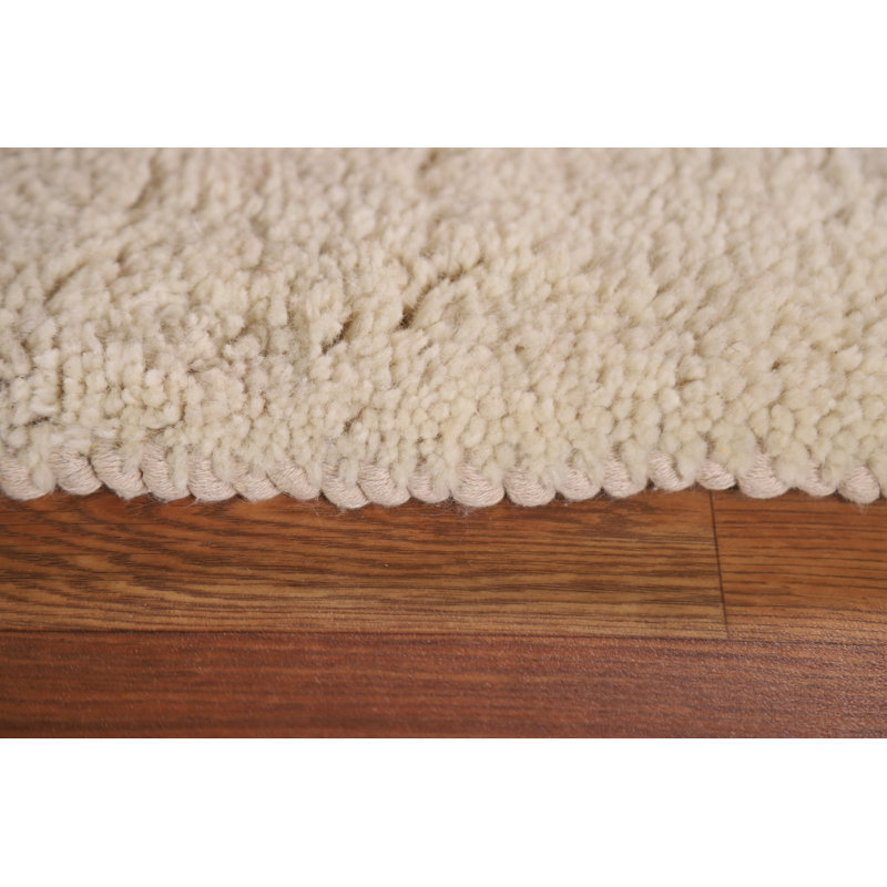 Hand Knotted Wool Rug
