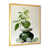 Cadre doré simple