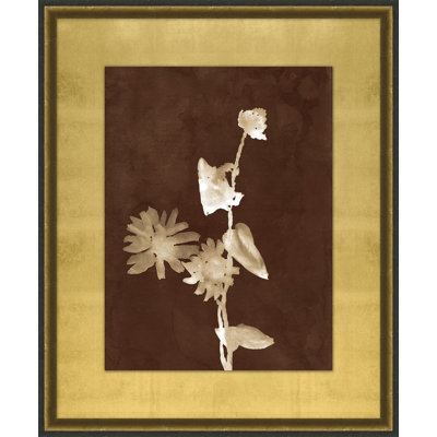 Botanist Study 1 Print by Lillian August