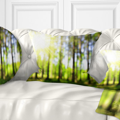 Landscape Throw Pillow