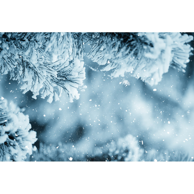 Winter Scene - Frosted Pine Branches. Winter In The Woods by Andrey Danilovich - No Frame Art Prints on Canvas