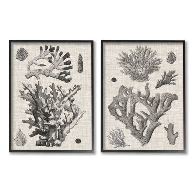 Stupell Industries Vintage Coral Study 2 Piece Canvas Wall Art Set Design by Vision Studio -  a2-581_fr_2pc_11x14