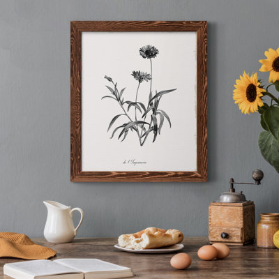 " Simply Imperial " Painting Print