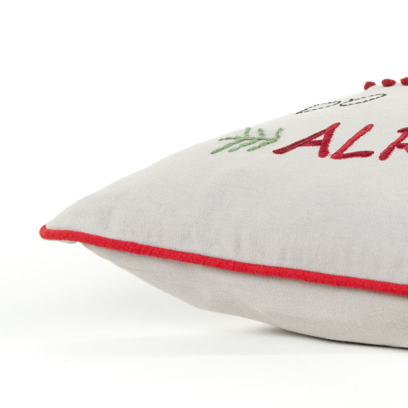 Embroidered Cotton Throw Pillow