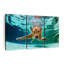 «Diving Golden Retriever», reproduction d'art sur toile-1953036542