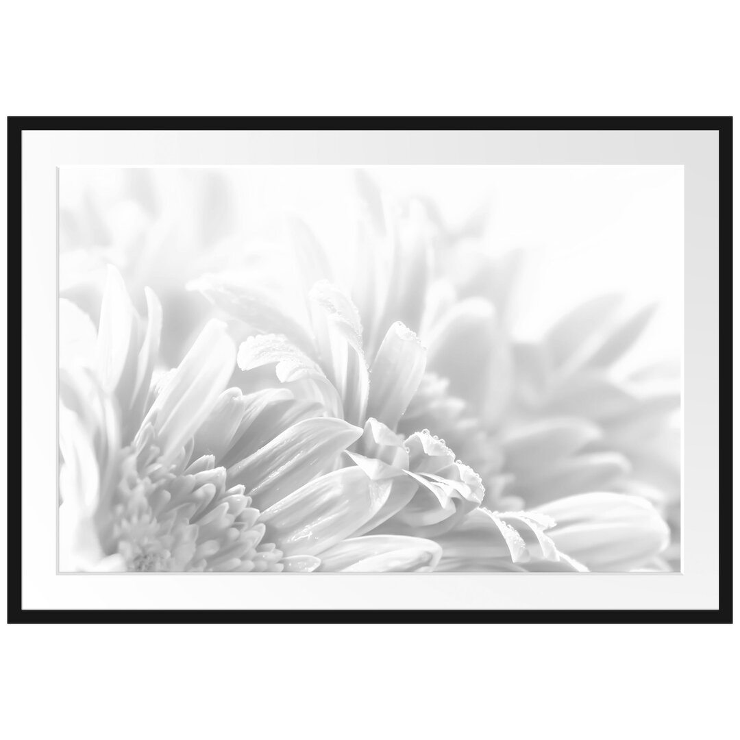 Gerahmtes Poster Gerbera-Blume