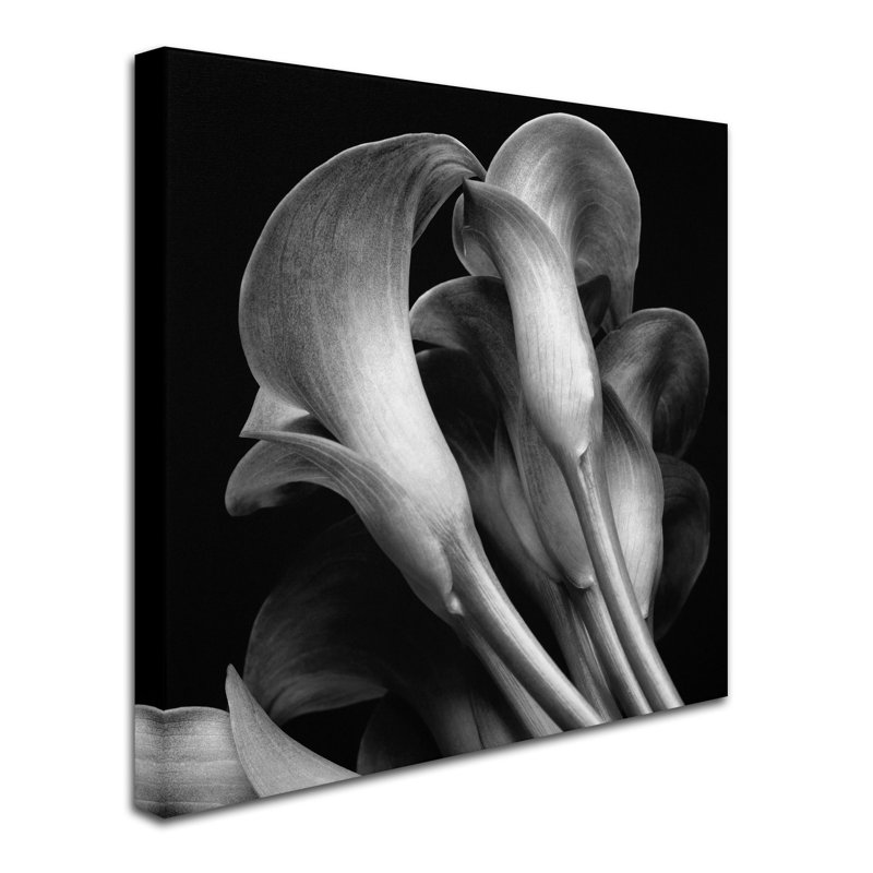 « lillies », reproduction de photo sur toile tendue, H 14 po x l 14 po x P 2 po