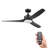Lynton 52" Indoor Outdoor Ceiling Fan with Remote and Color Change Light Kit Included-88069717