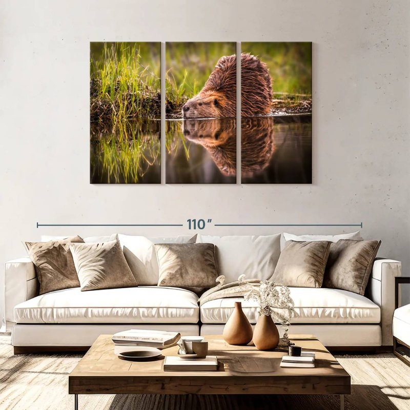 Brampt Beaver, 48" H x 74" W