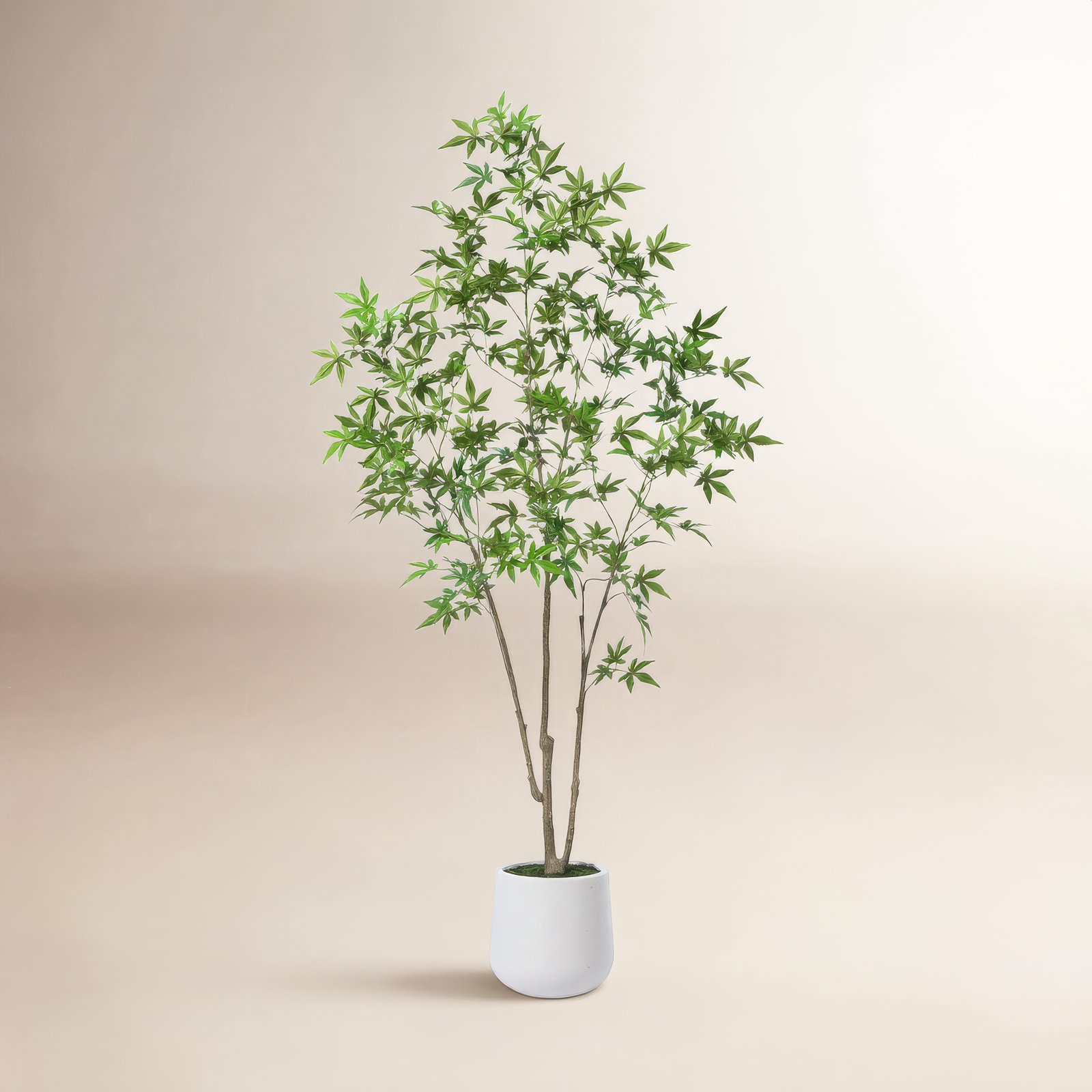 Adcock 72" Maple Tree in Pot, 72" H x 24" W x 24" D