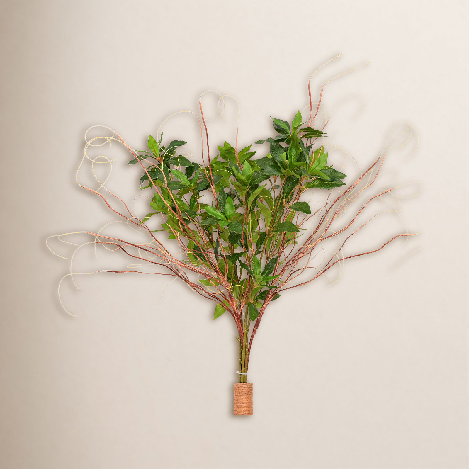 Foliage Leaf Stems