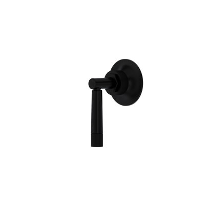 Graceline Trim For Volume Control And Diverter