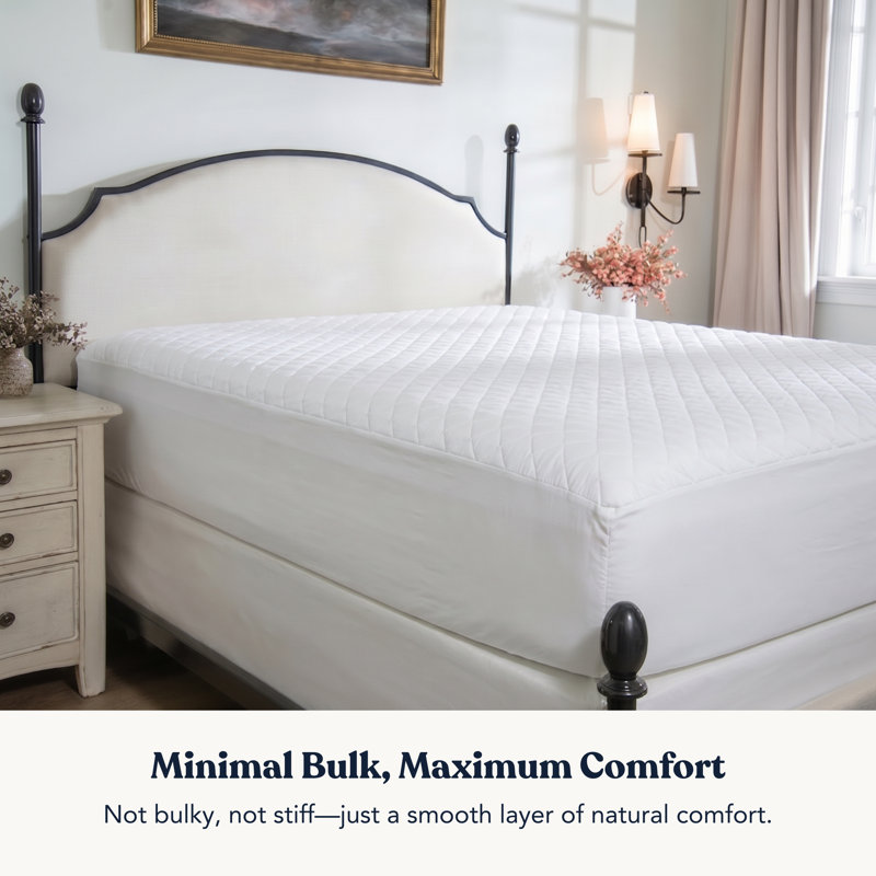 Housse de surmatelas Delara en coton matelassé 100% coton biologique certifié GOTS, 400TC, 300 g / m², rembourrage de 0,25 po, poche profonde 18 po - simple 39 po x 75 po