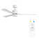 Okun 52cm Ceiling Fan with LED Lights