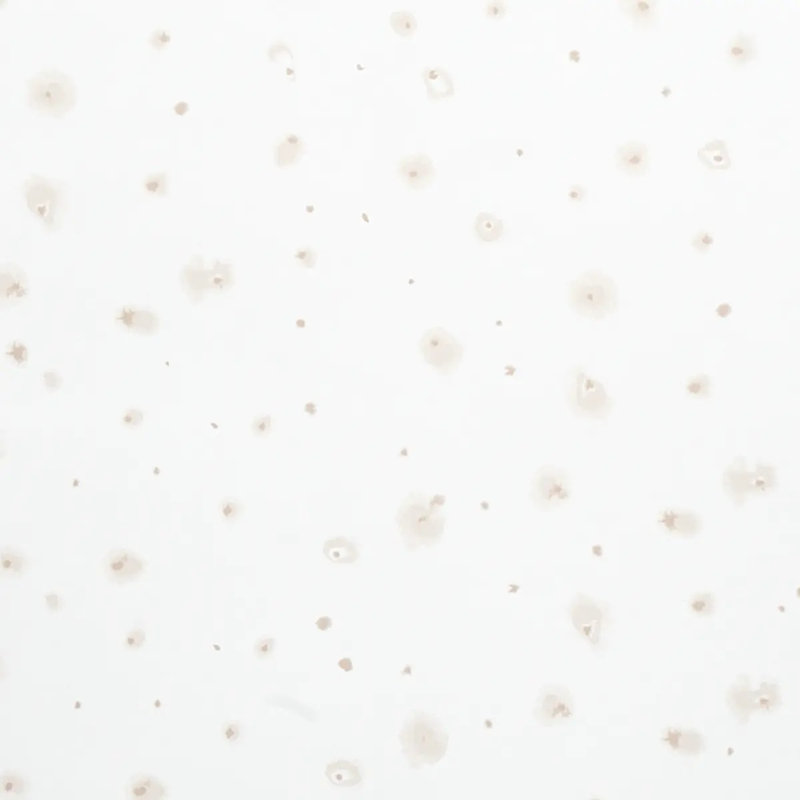 Schumacher x Porter Teleo Stellar Wallpaper, Neutral