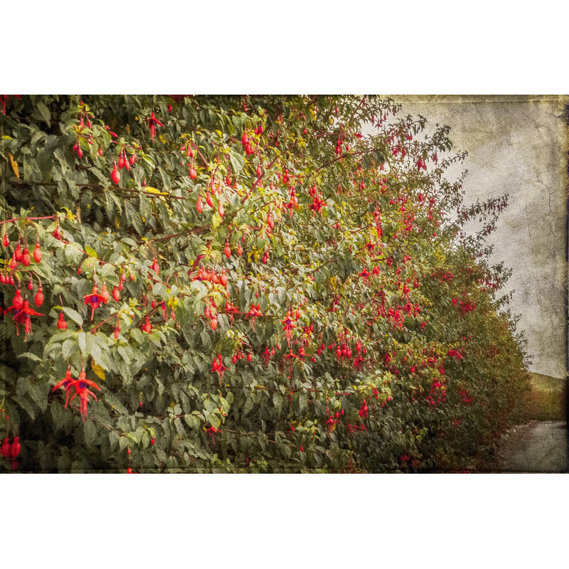 Ireland In Colour XI by Richard James - Wrapped Canvas Print, 61cm H x 91cm W x 3.8cm D