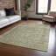 Tapis sauge intérieur / extérieur lavable à la machine Claudian ACN1645-109535373