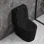 Toilette courte pour petites salles de bain 23,5 po Yingze, double chasse noire