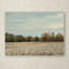 «Cotton Field in Autumn» par Vidur, reproduction de photo sur toile tendue-22074627