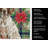 German Shorthaired Pointer Christmas PoinsettIas Kitchen Towel-2080583758