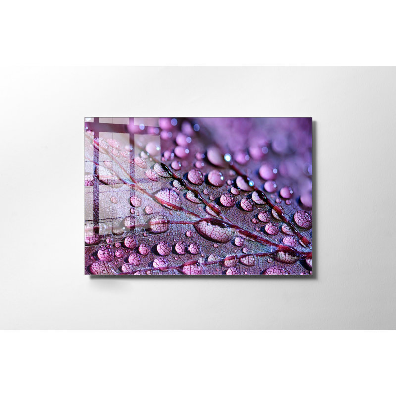 Verre 2, H 19,7 po x l 27,6 po x P 1 po
