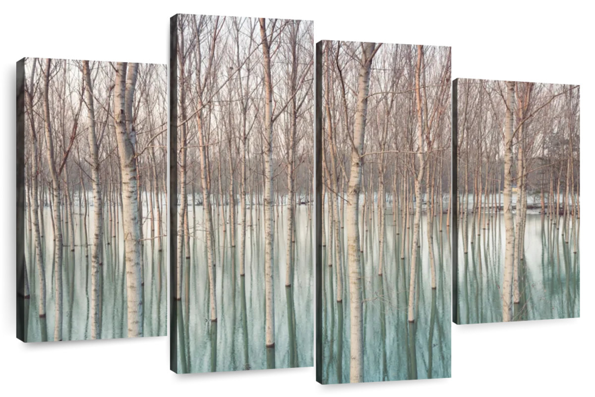 Millwood Pines Alvord Flooded Birch Tree Forest | Wayfair