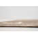 Healdton Abstract Indoor / Outdoor Rug