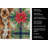Wirehaired Pointing Griffon Christmas PoinsettIas Kitchen Towel-2080583714