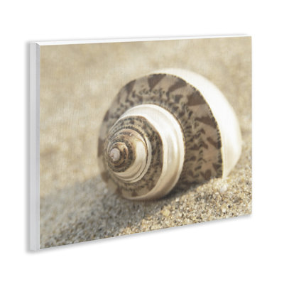 Plaque murale coquillage neutre, design par Dora Rotondella