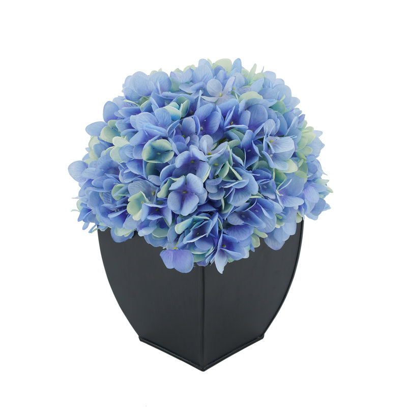 Arrangement floral hortensia en pot, Bleu