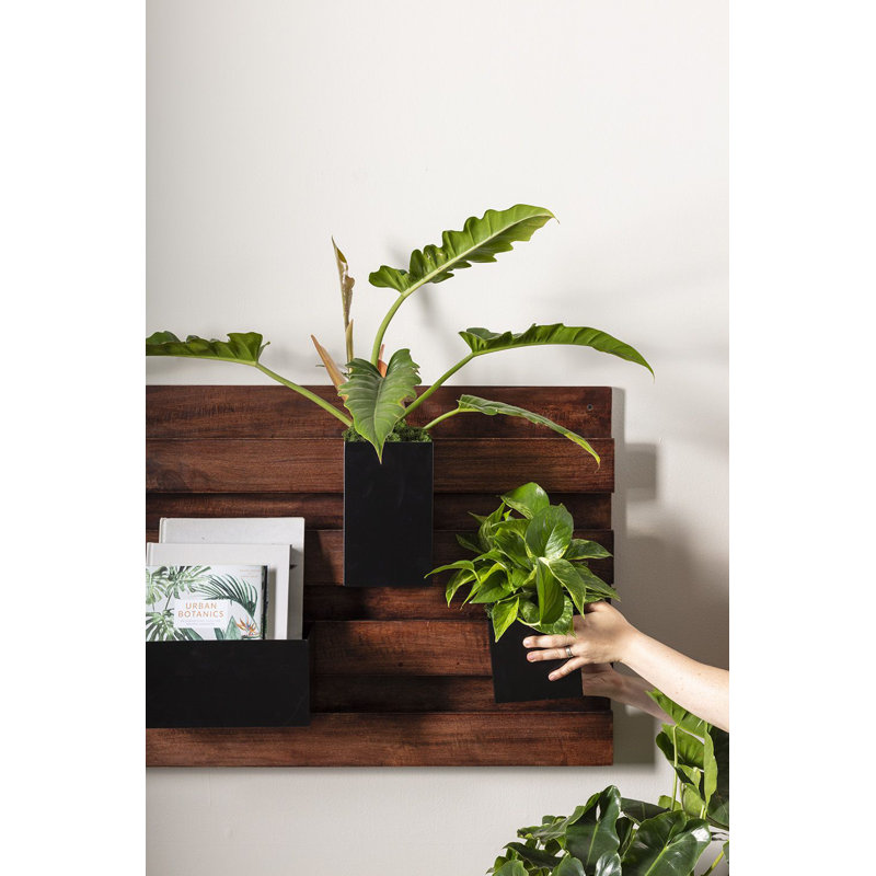 Pot de fleurs mural en bois Hamite