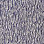 Animaux Fabric-31247125