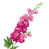 Rose magenta est en rupture de stock