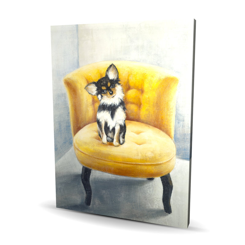 Fauteuil Chihuahua à poils longs sur jaune