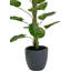 120cm Faux Plant in Cement Pot