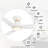 Gaudenzia 52 Inch Smart Ceiling Fan with Light