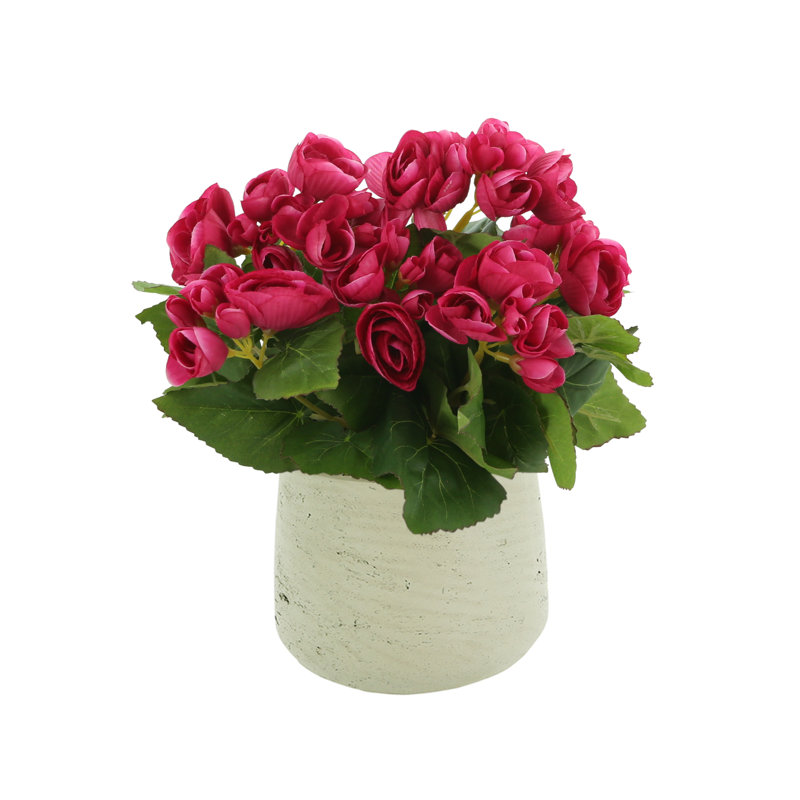 Arrangement floral bégonia, Rose, Beige