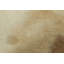 Rug & Kilim’S Extra Large Cowhide Rug In Beige, White And Cream Tones