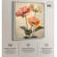 «Blush and Ochre I», art floral printanier par -358110234-358110322